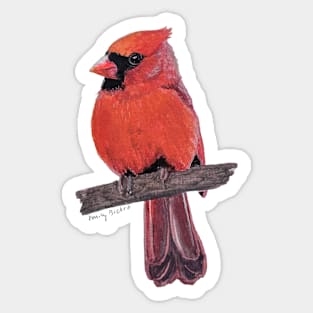 Fluffy Northern Cardinal on a branch painting Sticker